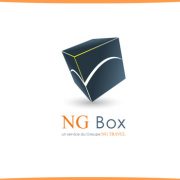 Logotype NGBox