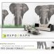 Expograph Stickers Elephants
